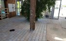 Crey quartier Gournay